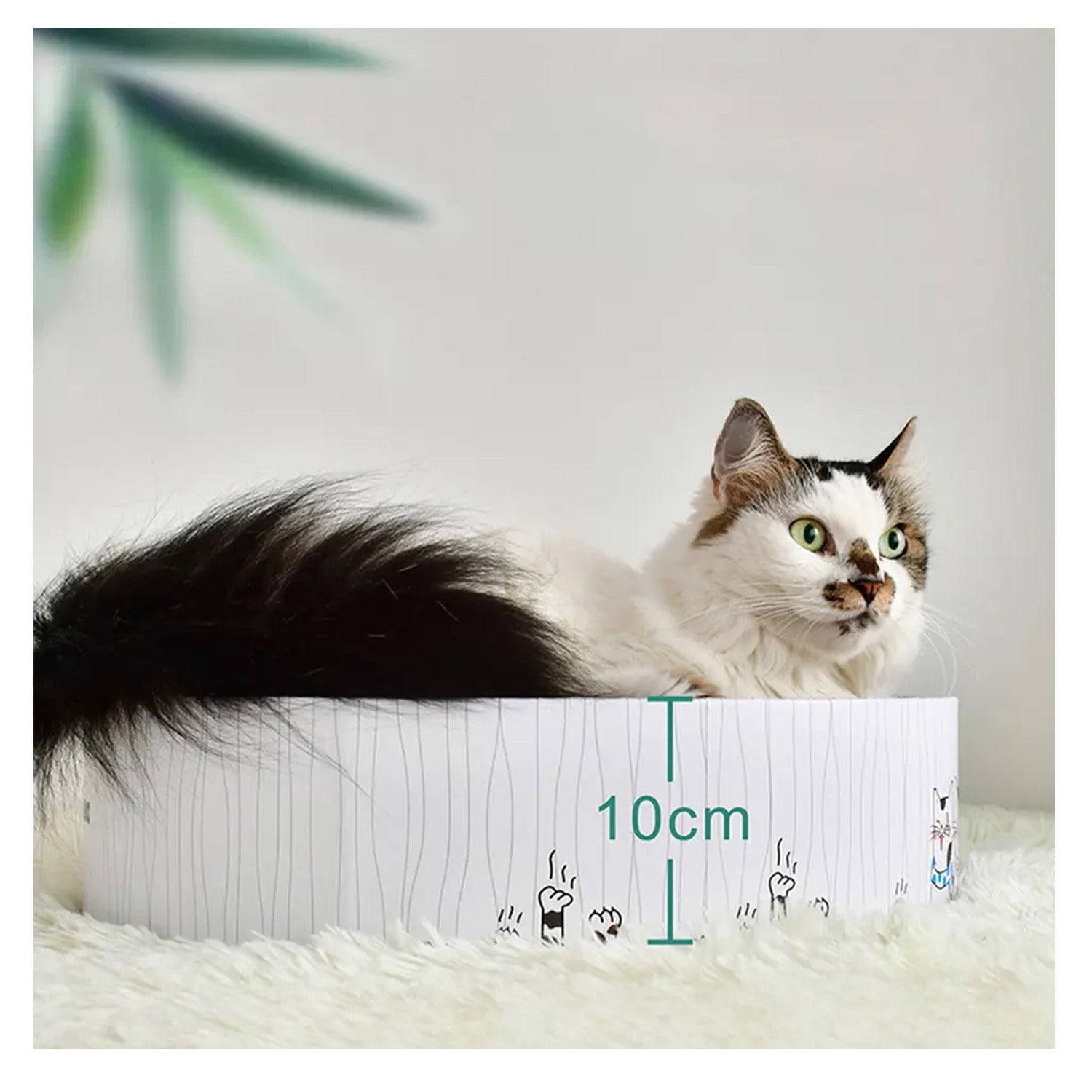 Rascador Circular de Cartón Corrugado para Gatos