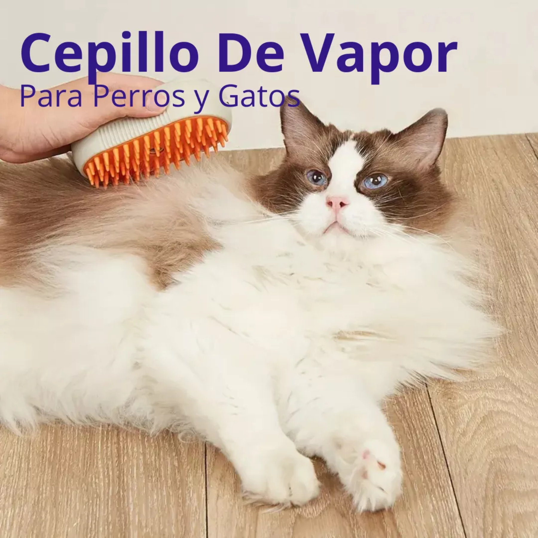 Cepillo de Vapor 3 en 1: Masaje, Limpieza y Quita Pelos