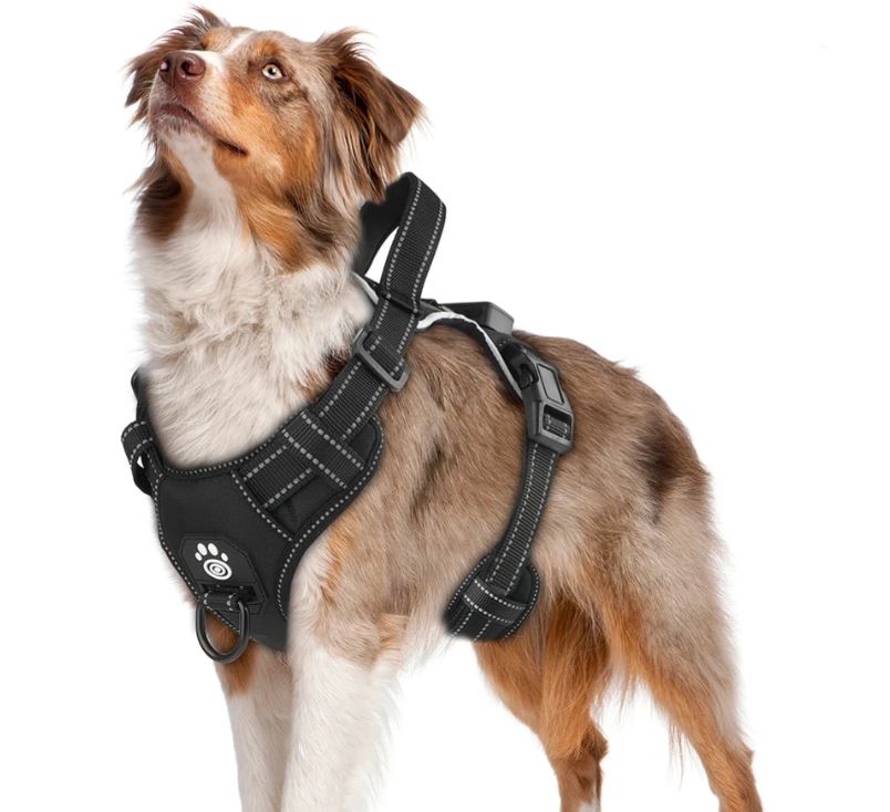 Arnés Led de Alta Visibilidad para Paseos Nocturnos Seguros