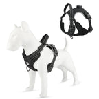 Arnés Led de Alta Visibilidad para Paseos Nocturnos Seguros