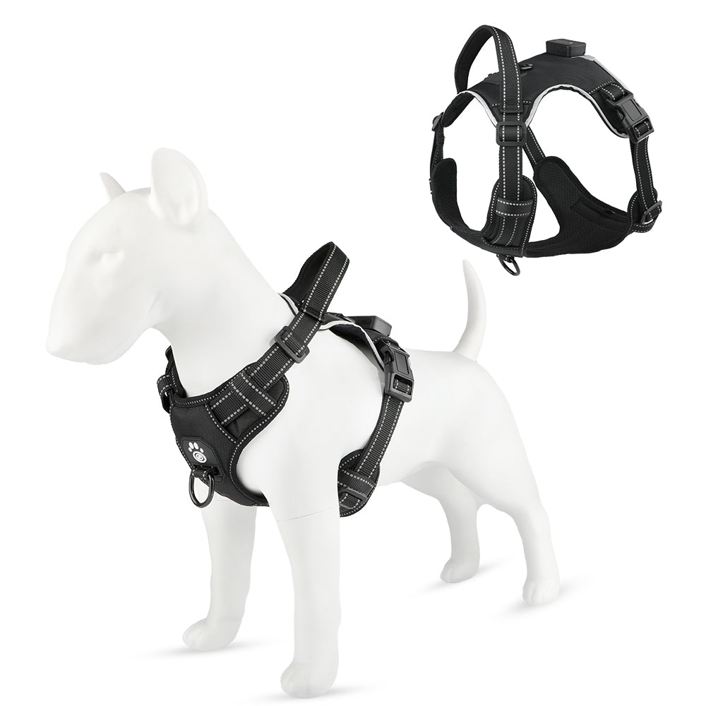 Arnés Led de Alta Visibilidad para Paseos Nocturnos Seguros