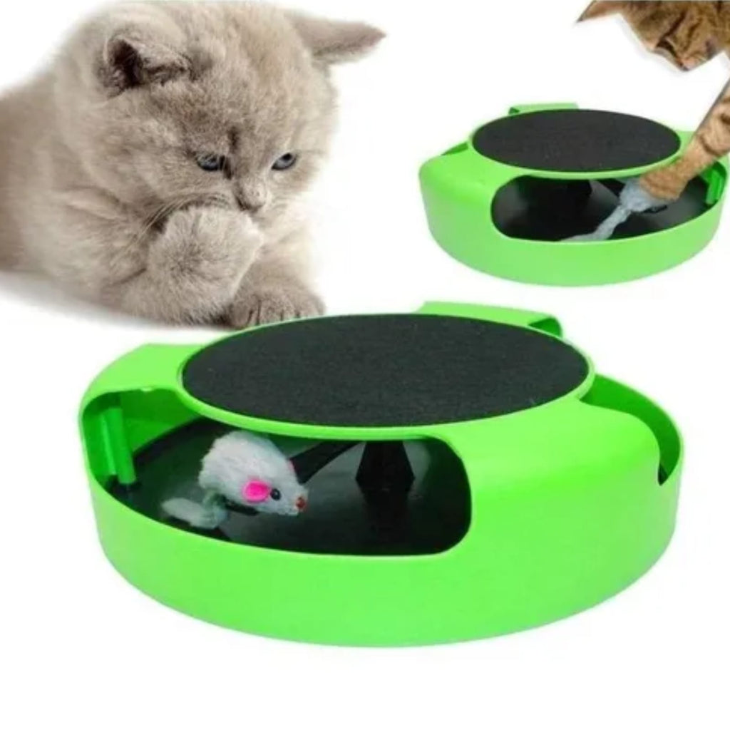 Caza al Ratón 2 en 1